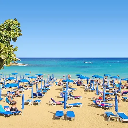 Apartment Josephine - Beachfront *